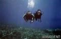 scuba diving photo