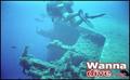 scuba diving photo