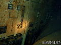 scuba diving photo