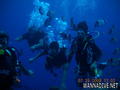 scuba diving photo