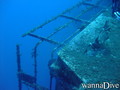 scuba diving photo
