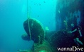 scuba diving photo