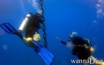 scuba diving photo