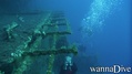 scuba diving photo