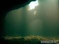 scuba diving photo