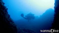 scuba diving photo