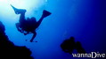 scuba diving photo
