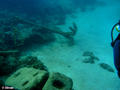 scuba diving photo