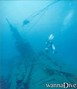 scuba diving photo