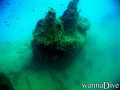 scuba diving photo