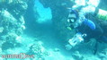 scuba diving photo