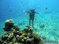scuba diving photo