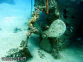 scuba diving photo