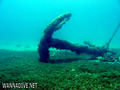 scuba diving photo