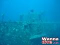 scuba diving photo