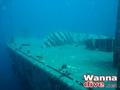 scuba diving photo
