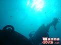 scuba diving photo