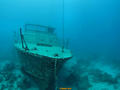 scuba diving photo