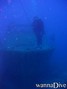 scuba diving photo