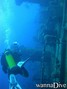scuba diving photo