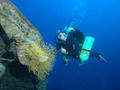 scuba diving photo