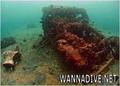 scuba diving photo