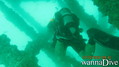 scuba diving photo