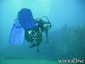 scuba diving photo