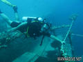 scuba diving photo