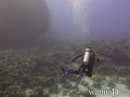 scuba diving photo