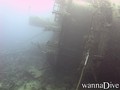 scuba diving photo