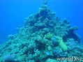 scuba diving photo