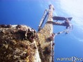 scuba diving photo