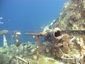 scuba diving photo