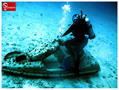 scuba diving photo
