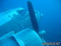 scuba diving photo