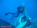scuba diving photo