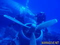scuba diving photo