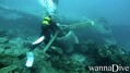 scuba diving photo