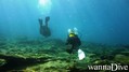 scuba diving photo