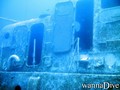 scuba diving photo