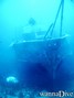 scuba diving photo