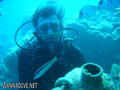 scuba diving photo