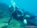scuba diving photo