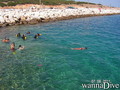 scuba diving photo