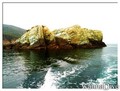 scuba diving photo