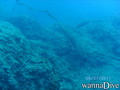 scuba diving photo