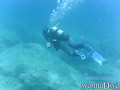 scuba diving photo