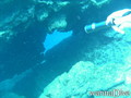 scuba diving photo