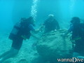 scuba diving photo